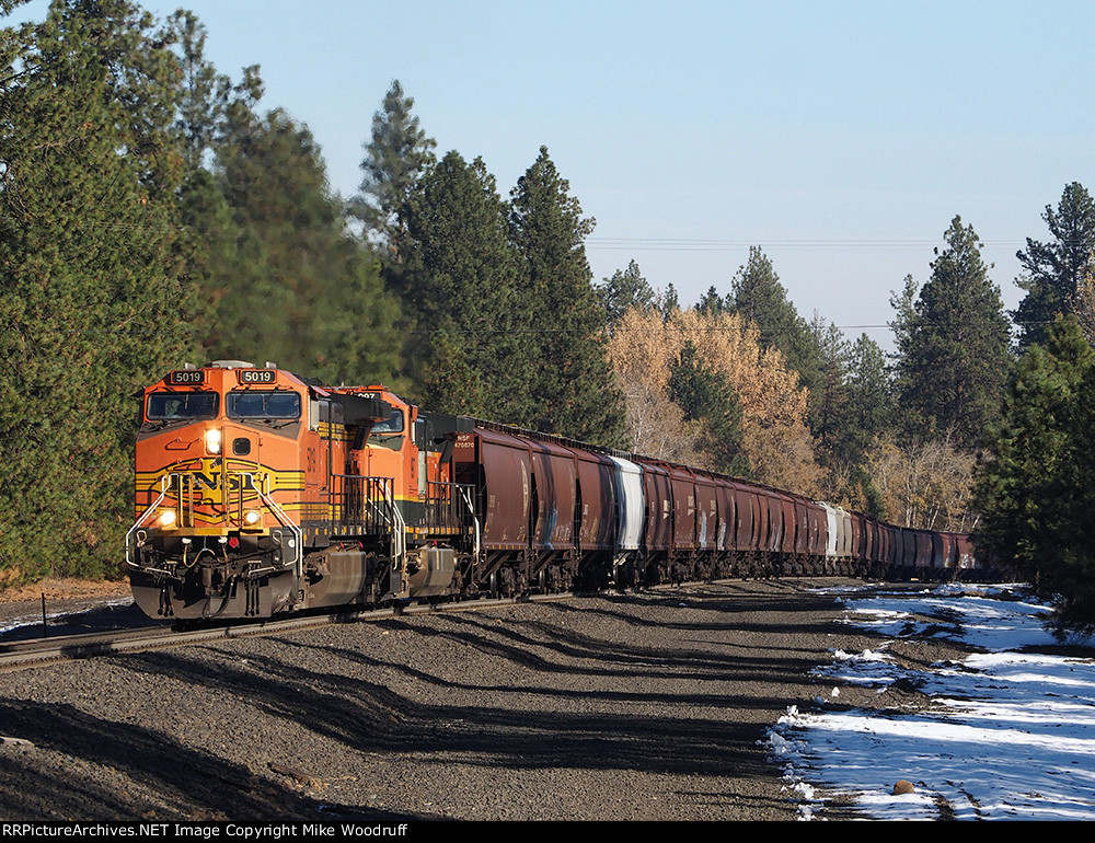 BNSF 5019